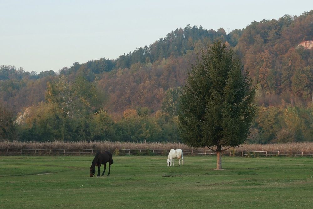 Photograph by Maxim Lip