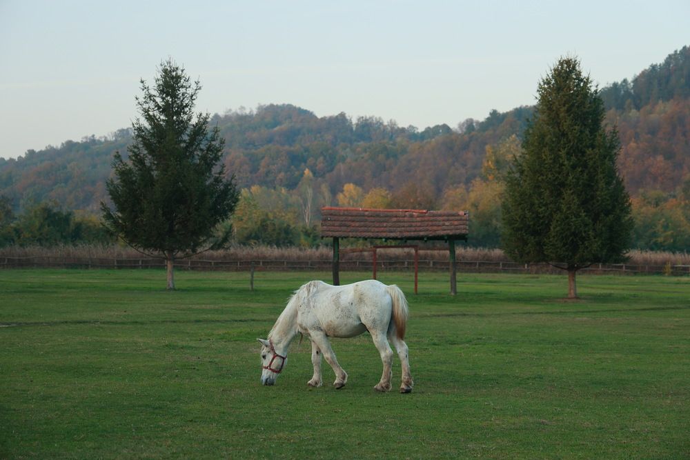 Photograph by Maxim Lip