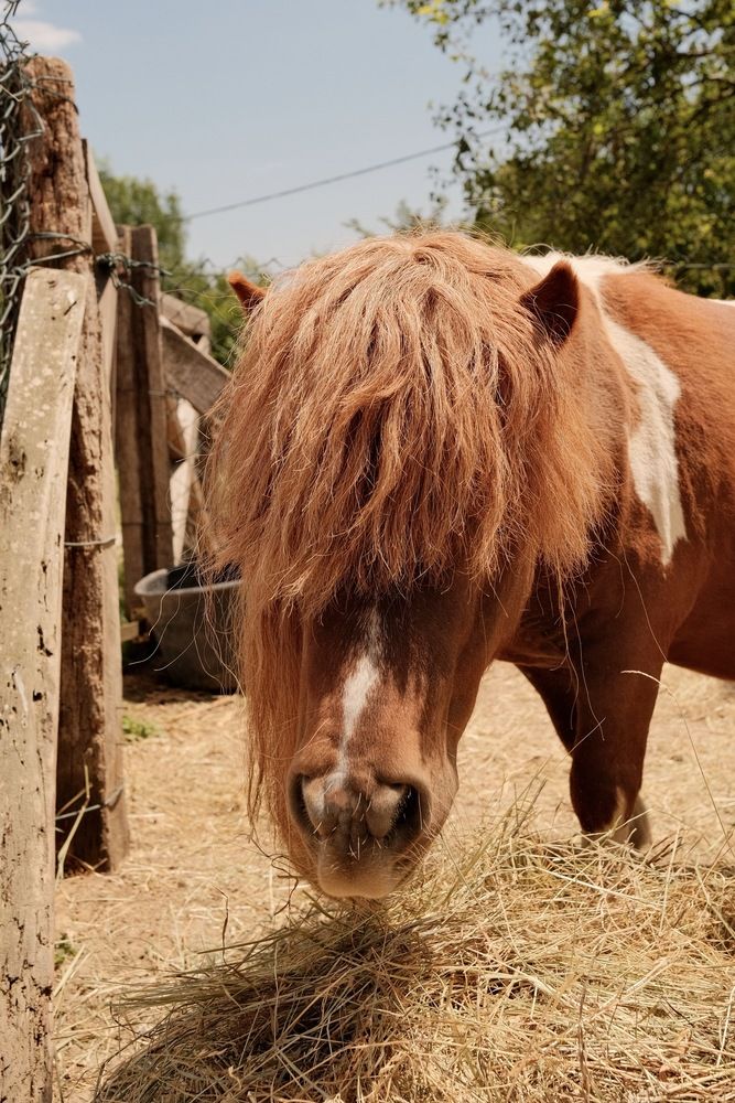 Photograph by Maxim Lip