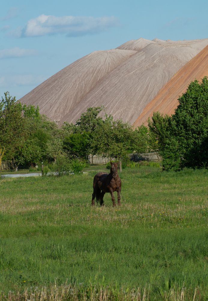 Фотография автора Геннадий Ломеко