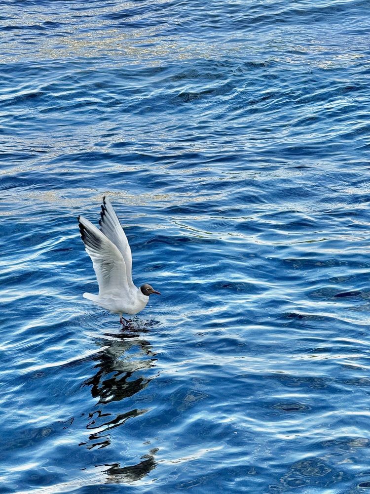 Photograph by Галина Матвеева