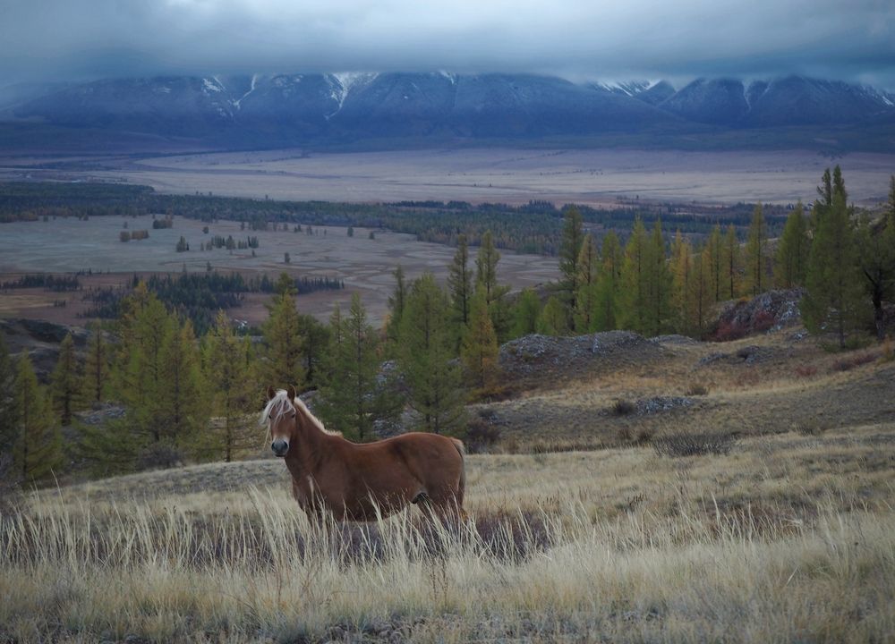 Фотография автора Яковлев Евгений