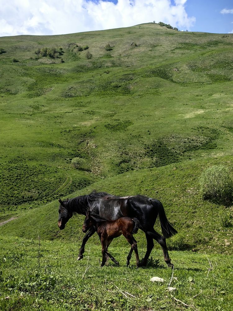 Photograph by Ярославна