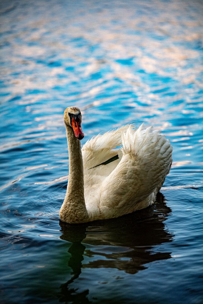 Photograph by Крупченко Роман