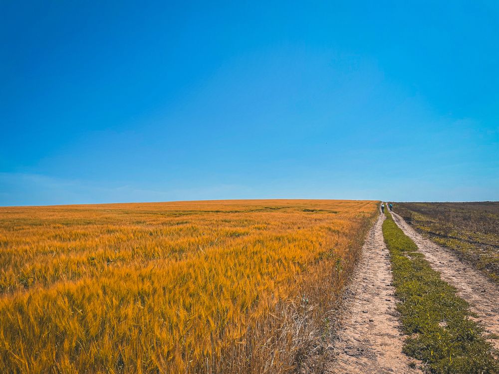 Фотография автора Михаил