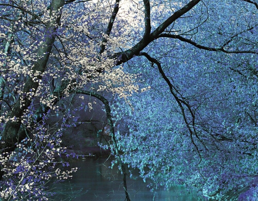 Photograph by Татьяна Пашинцева