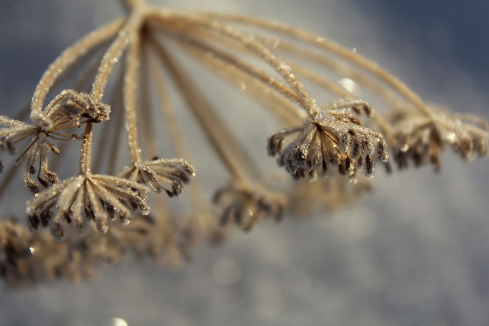 Фотография автора Юлия