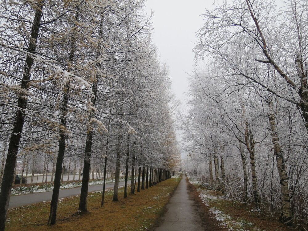 Photograph by Николай Горбачёв