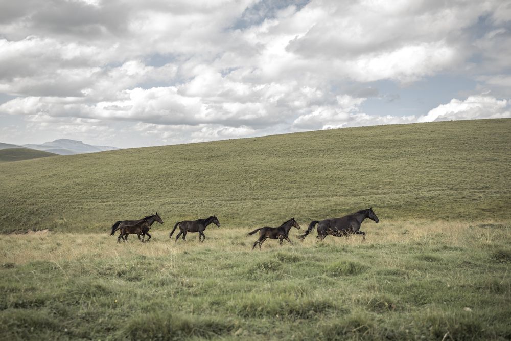 Фотография автора Ольга Хентова
