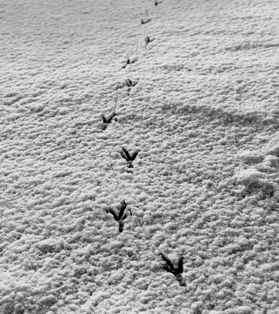 Photograph by Valery Yalovik