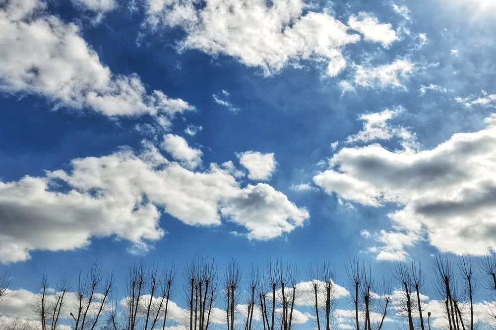 Фотография автора Екатерина Першина