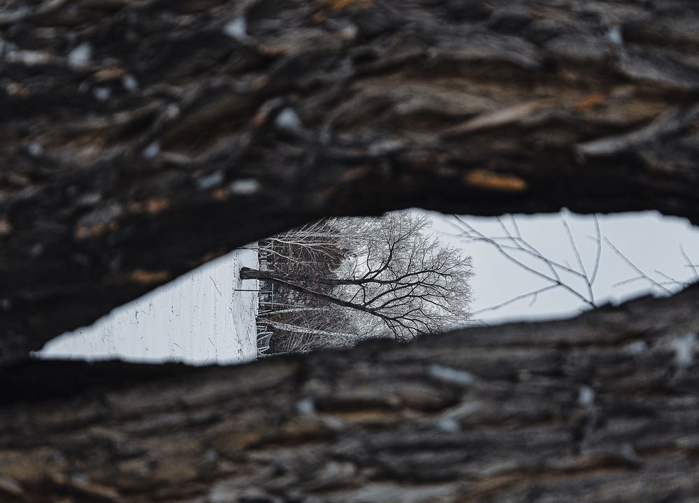 Фотография автора Екатерина Першина