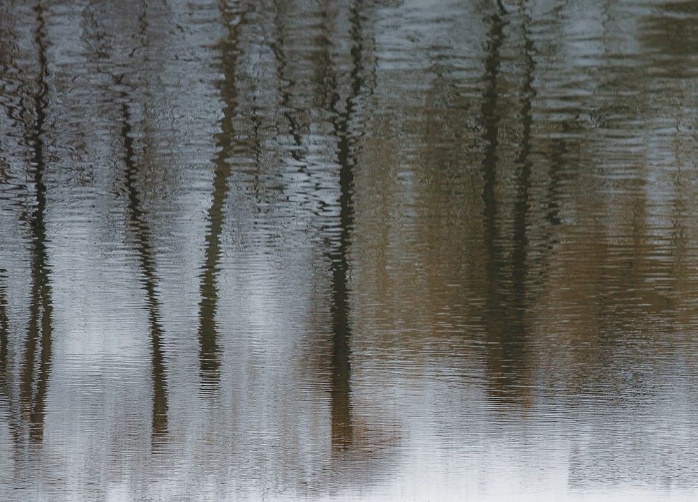 Фотография автора Екатерина Першина