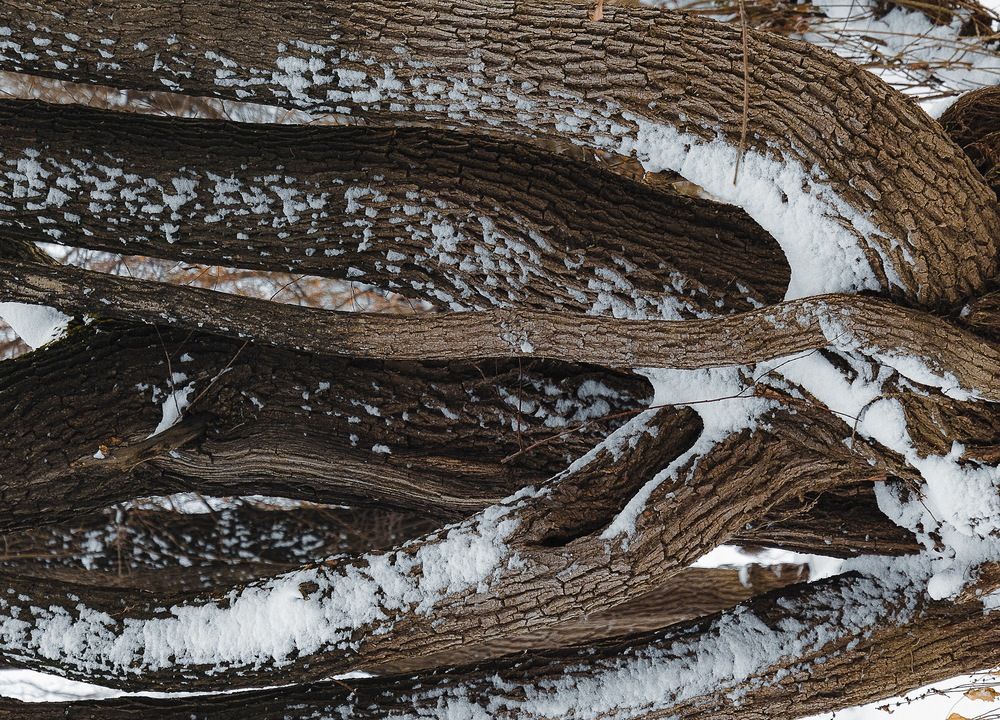 Фотография автора Екатерина Першина