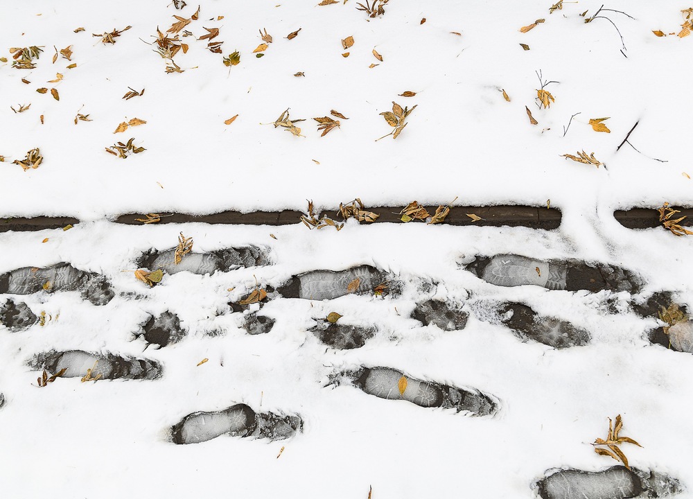 Фотография автора Екатерина Першина