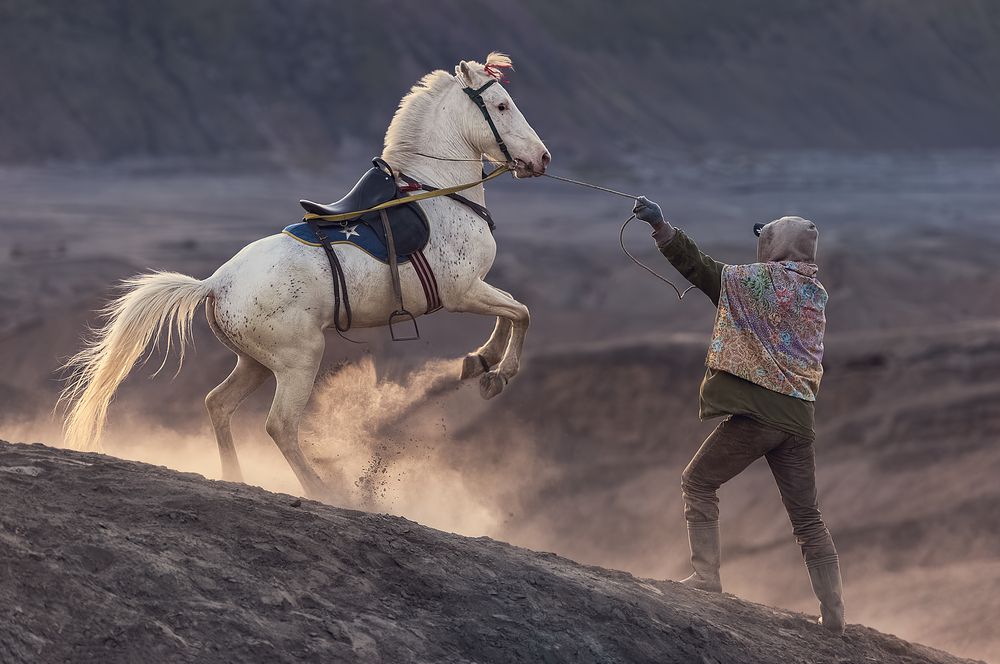 Photograph by Aws Zuhair