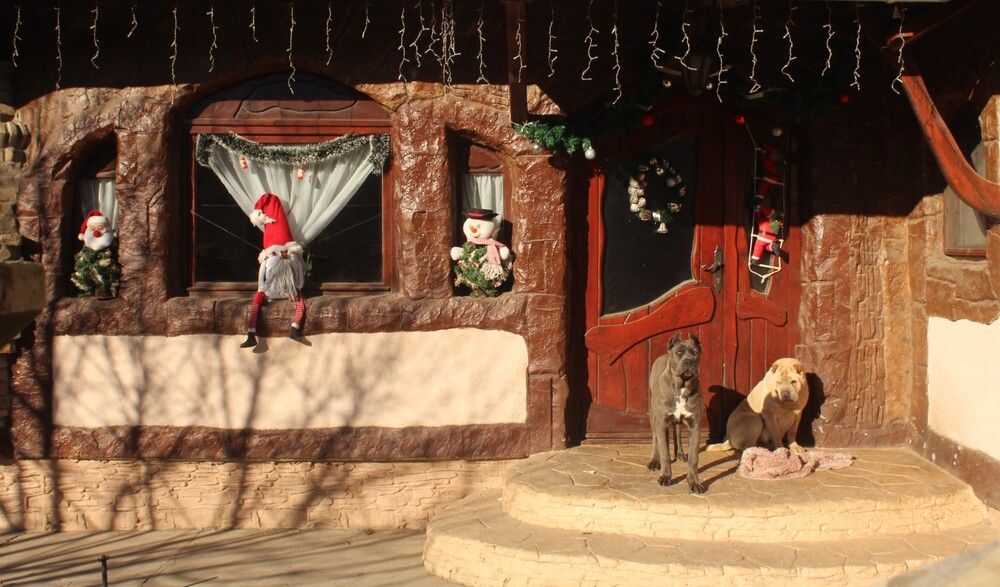 Photograph by Любовь Войводич