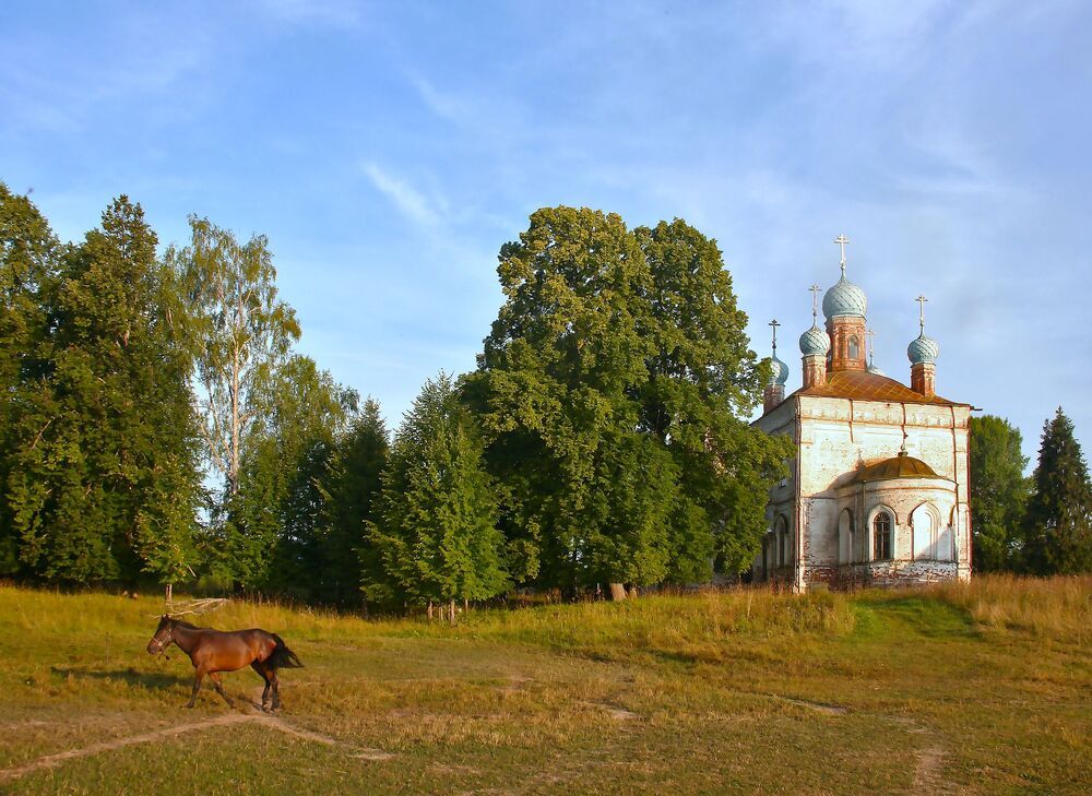 Photograph by Татьяна Пашинцева