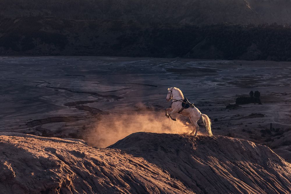 Photograph by Aws Zuhair