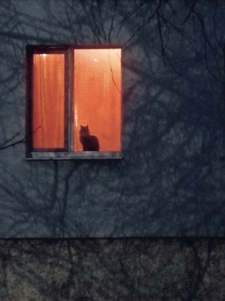 Photograph by Елена Пархоменко