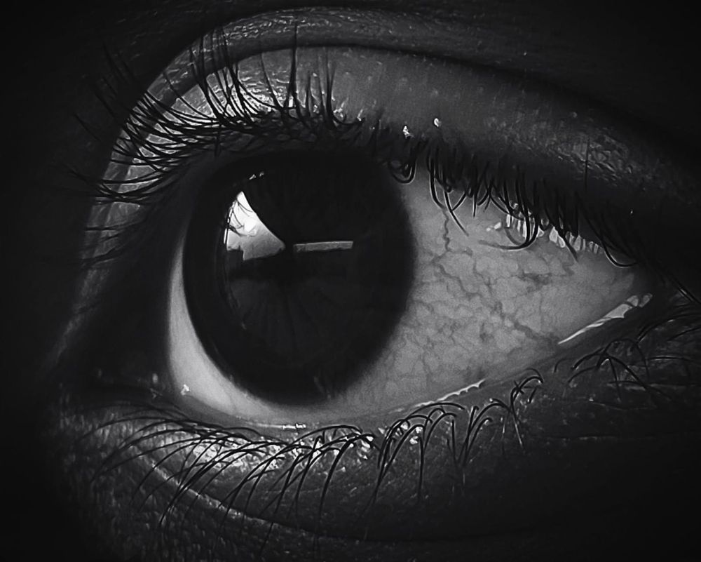 Vision