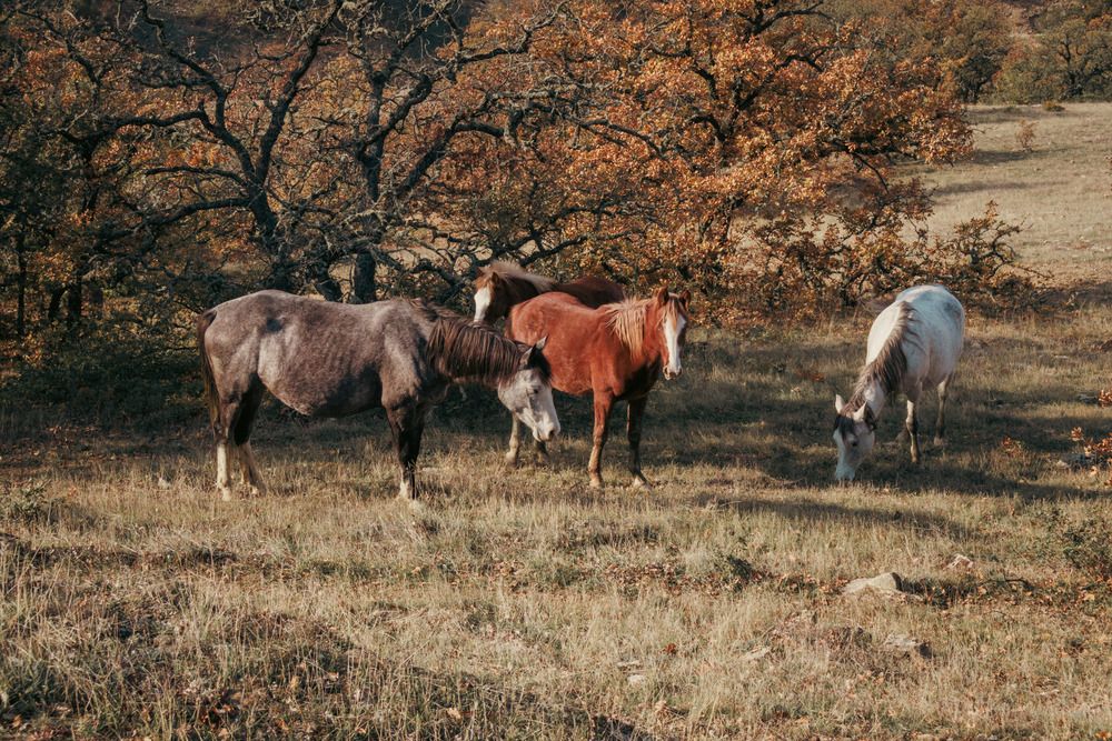 Фотография автора Ярослав Качура