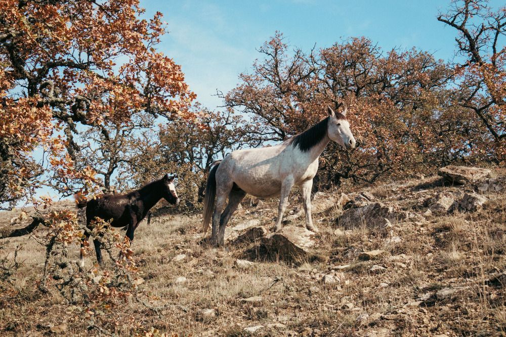 Фотография автора Ярослав Качура