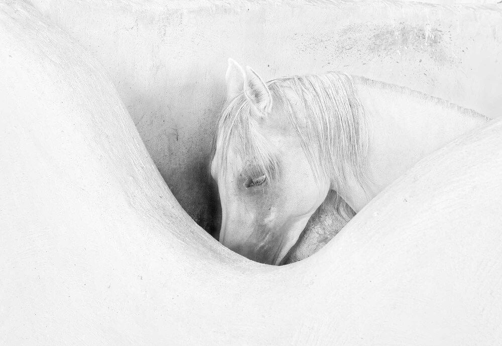 Photograph by farid azadi