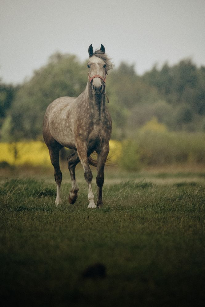 Photograph by Мария Лавриненко