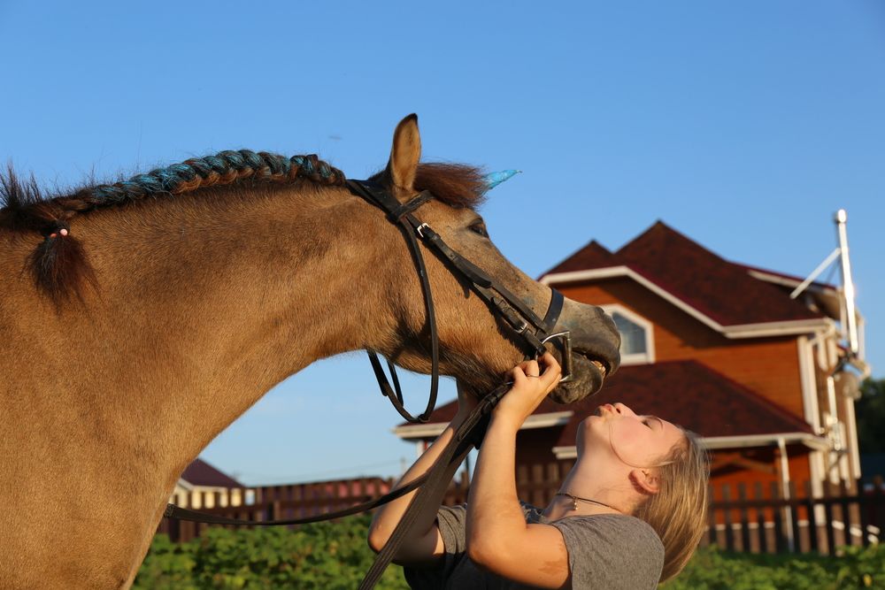 Фотография автора Валерий Бычков