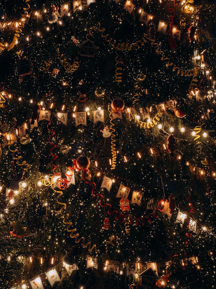 Photograph by ALISA NEZHINSKAYA