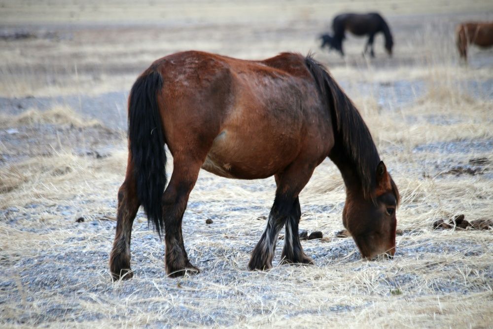 Фотография автора Лариса Ким