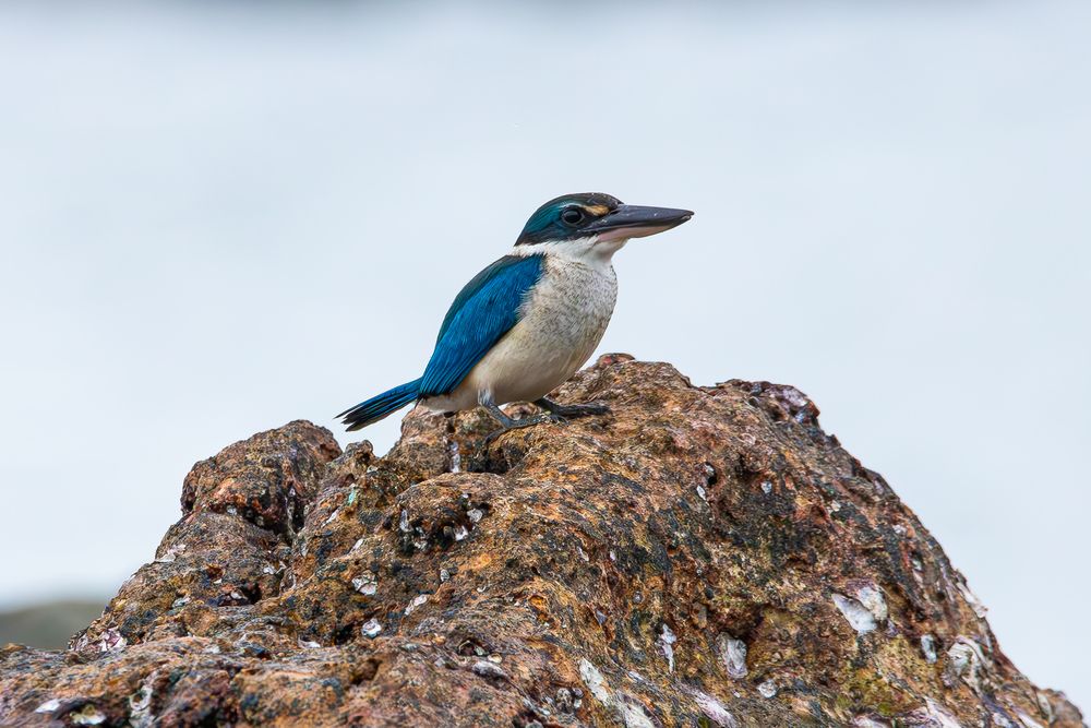 Photograph by Alexei Kriptozoy