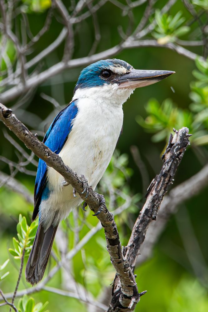 Photograph by Alexei Kriptozoy