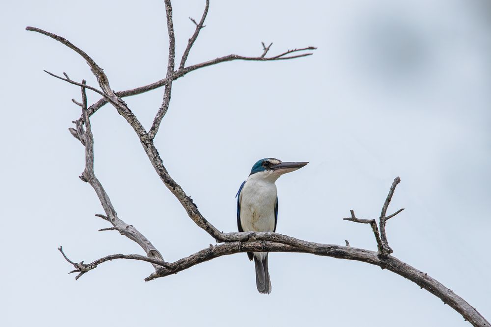 Photograph by Alexei Kriptozoy