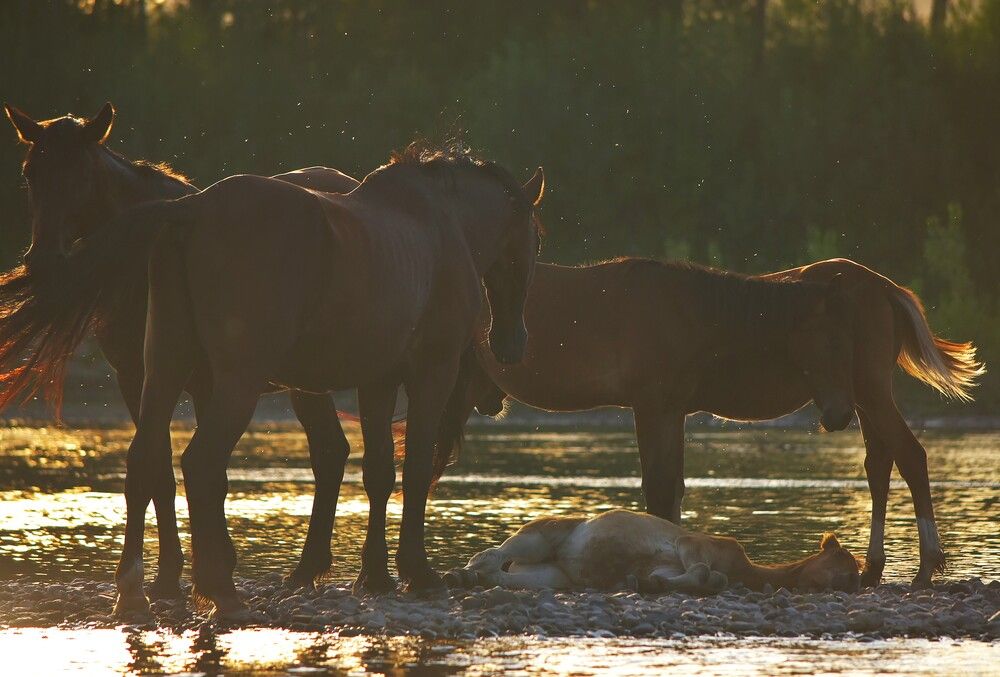 Photograph by Наталья Сорокина