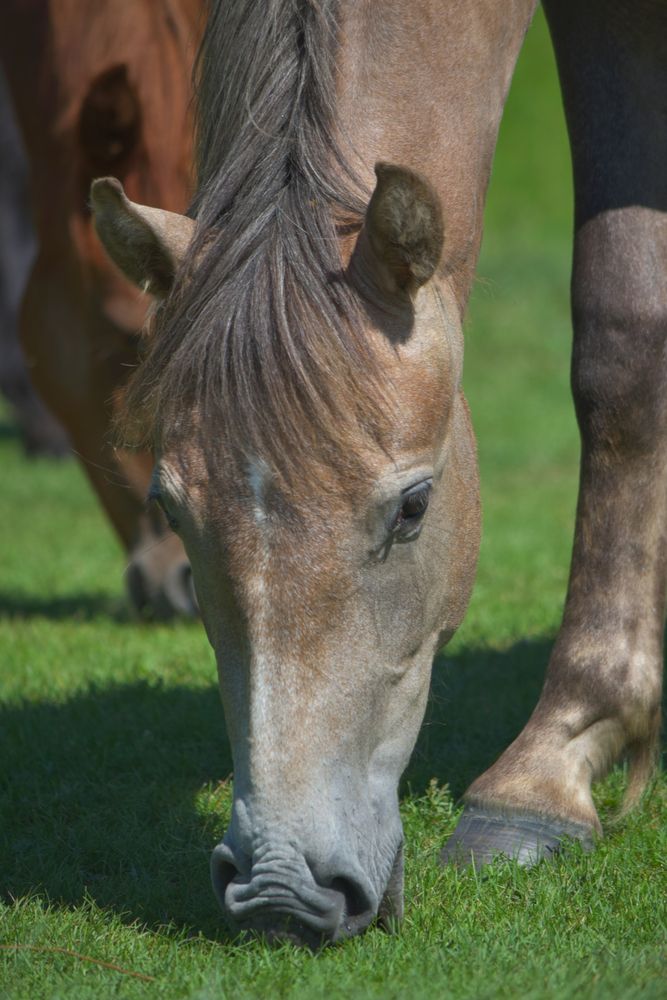 Photograph by Наталья Сорокина