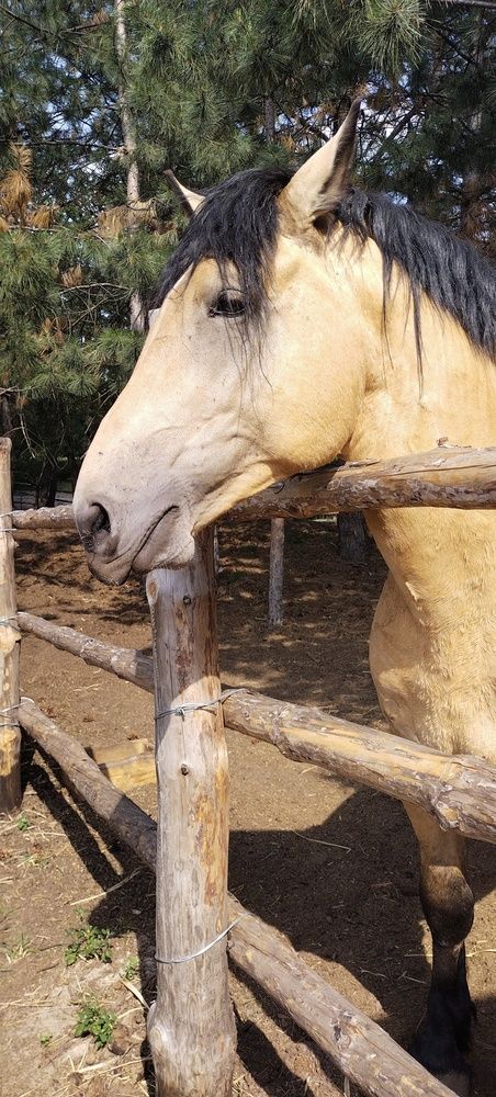 Photograph by Дарина Макарова