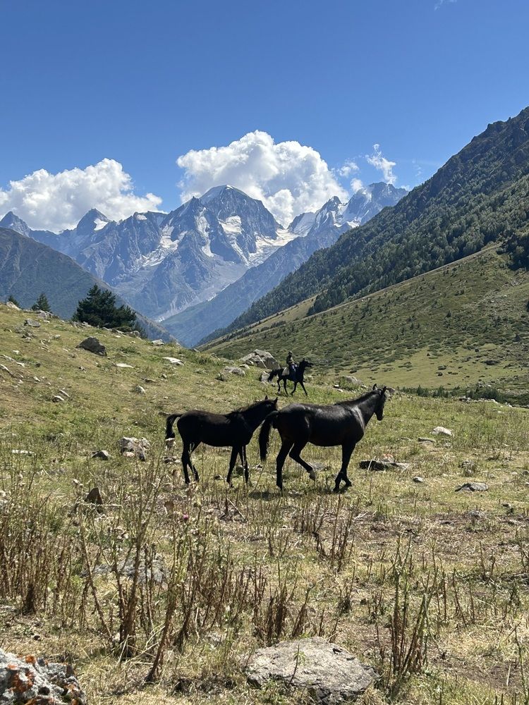 Photograph by Елена Власова