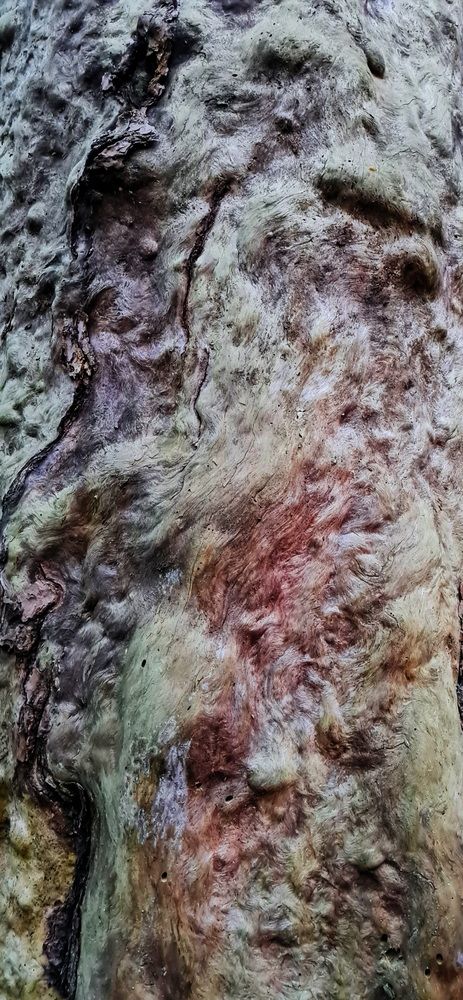 Photograph by Valery Yalovik