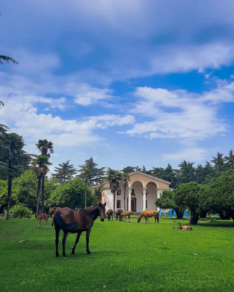 Photograph by Александра Ельникова