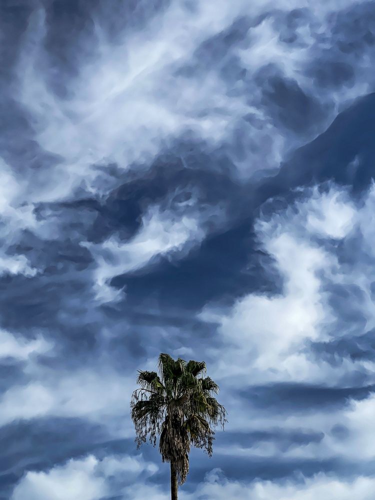 Photograph by Mehrad Mallaei