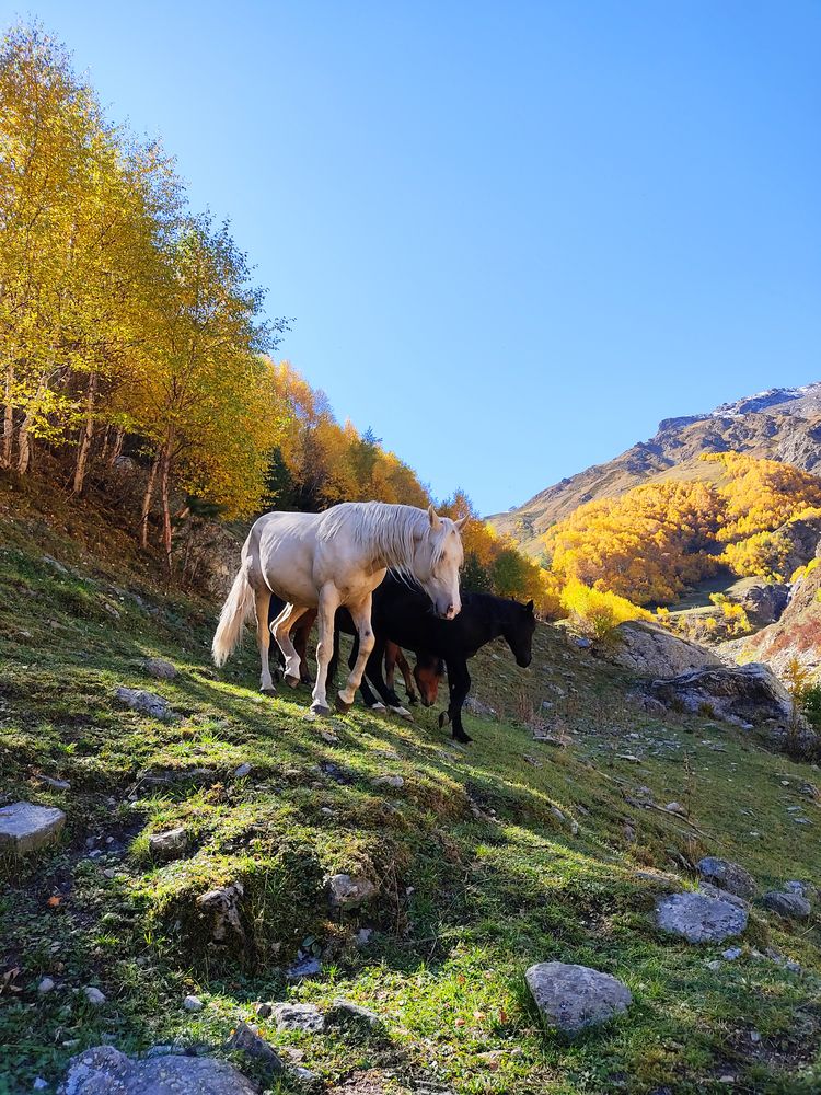 Photograph by Александра