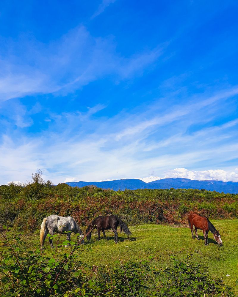 Photograph by Александра Ельникова