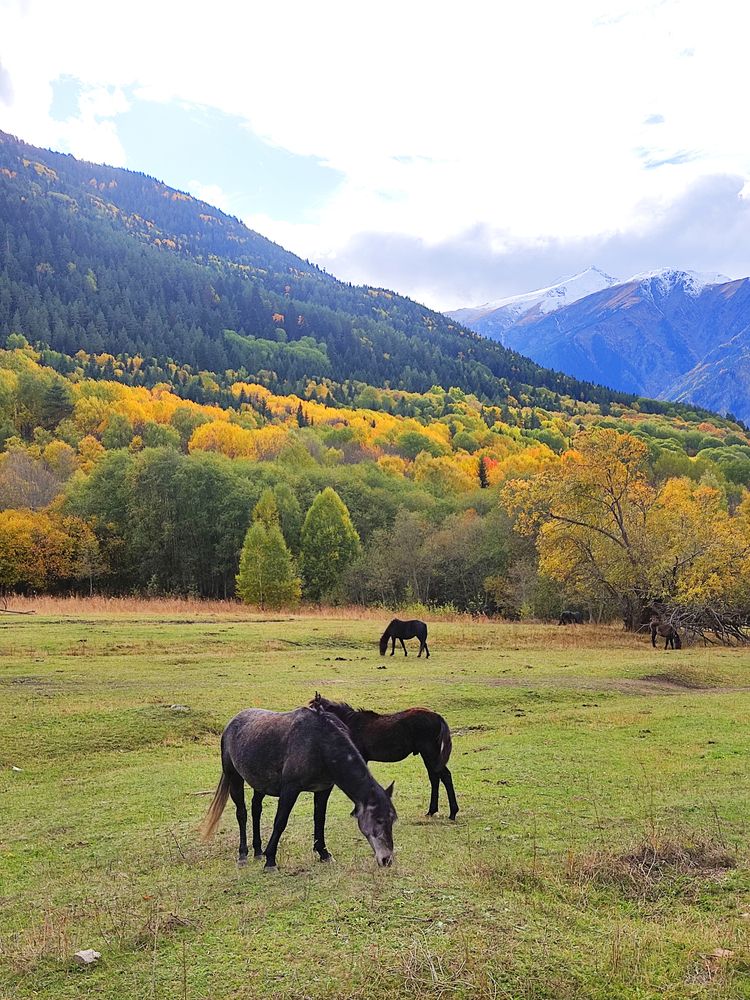 Photograph by Александра