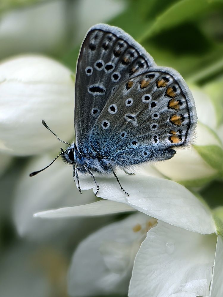 Photograph by Лолита Богачева
