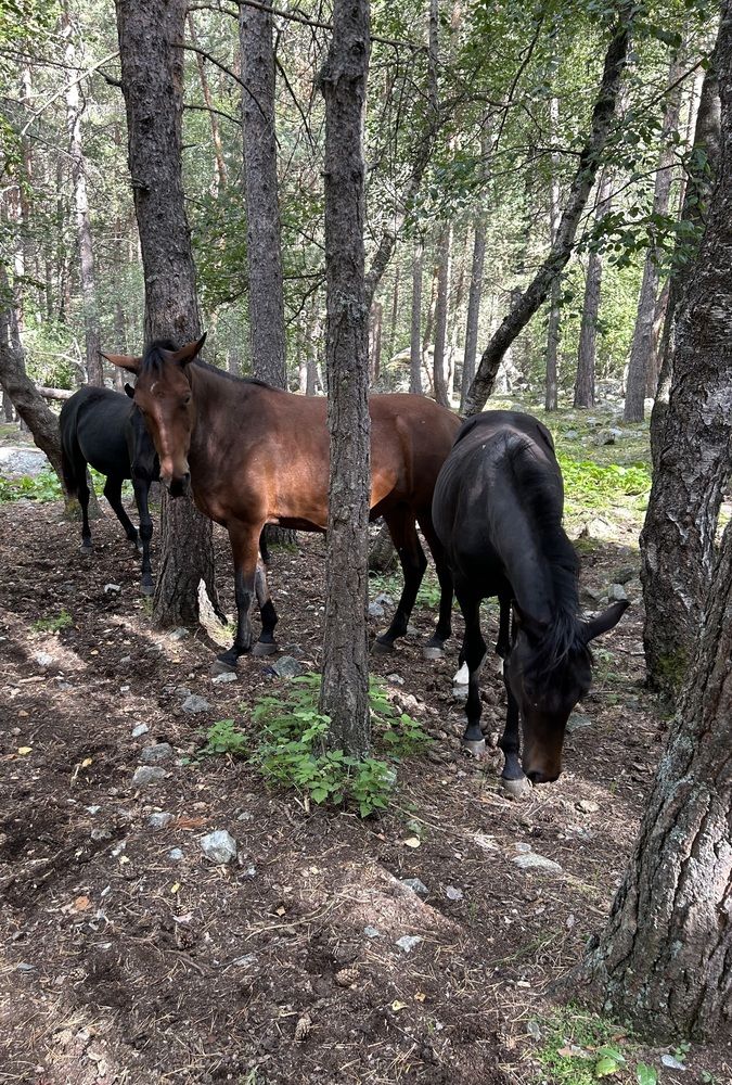 Photograph by Елена Власова