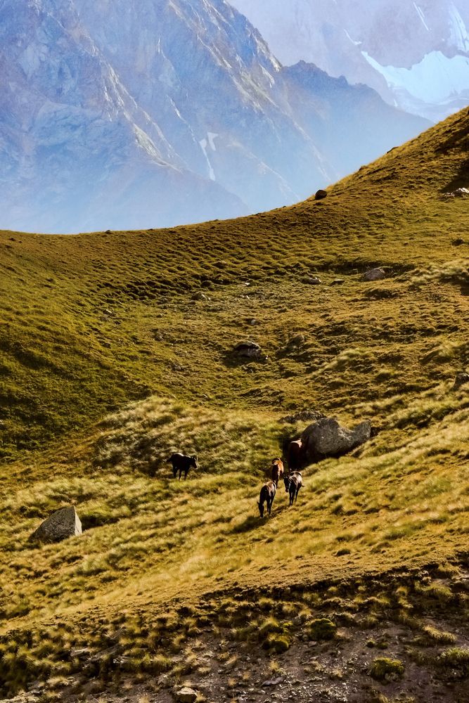 Фотография автора Андрей Груцинов