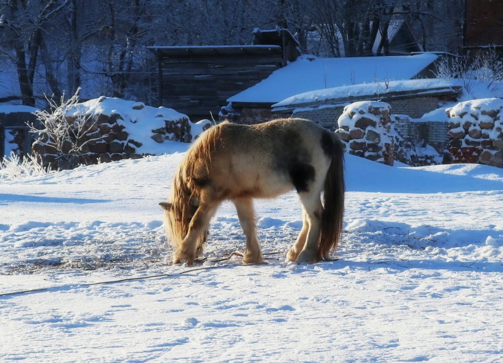 Photograph by Алла Бойко