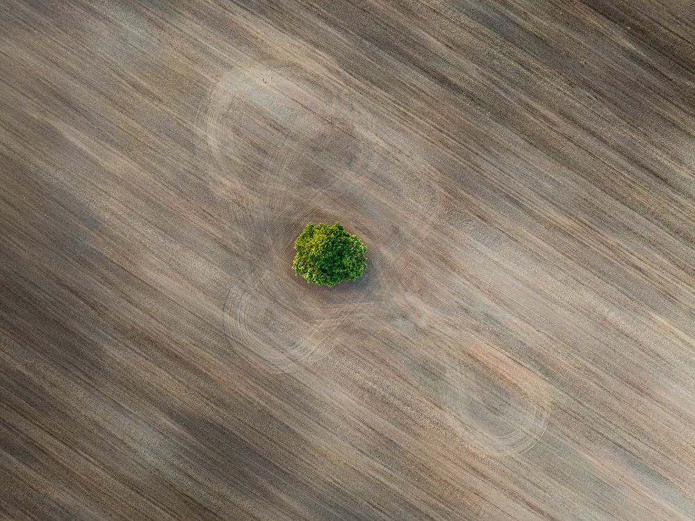 Photograph by Гордон Николай